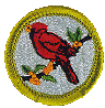 bird_study.gif (8073 bytes)